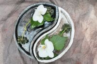 Doteky květiny keramikou - výstava
