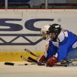 a1_sledge_hokej