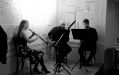 Koncert Trio Ribelino