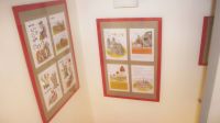 Výstava ilustrací v dětském oddělení.