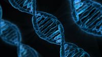 FORENZNÍ GENETIKA – úspěchy, trendy, neřešené problémy